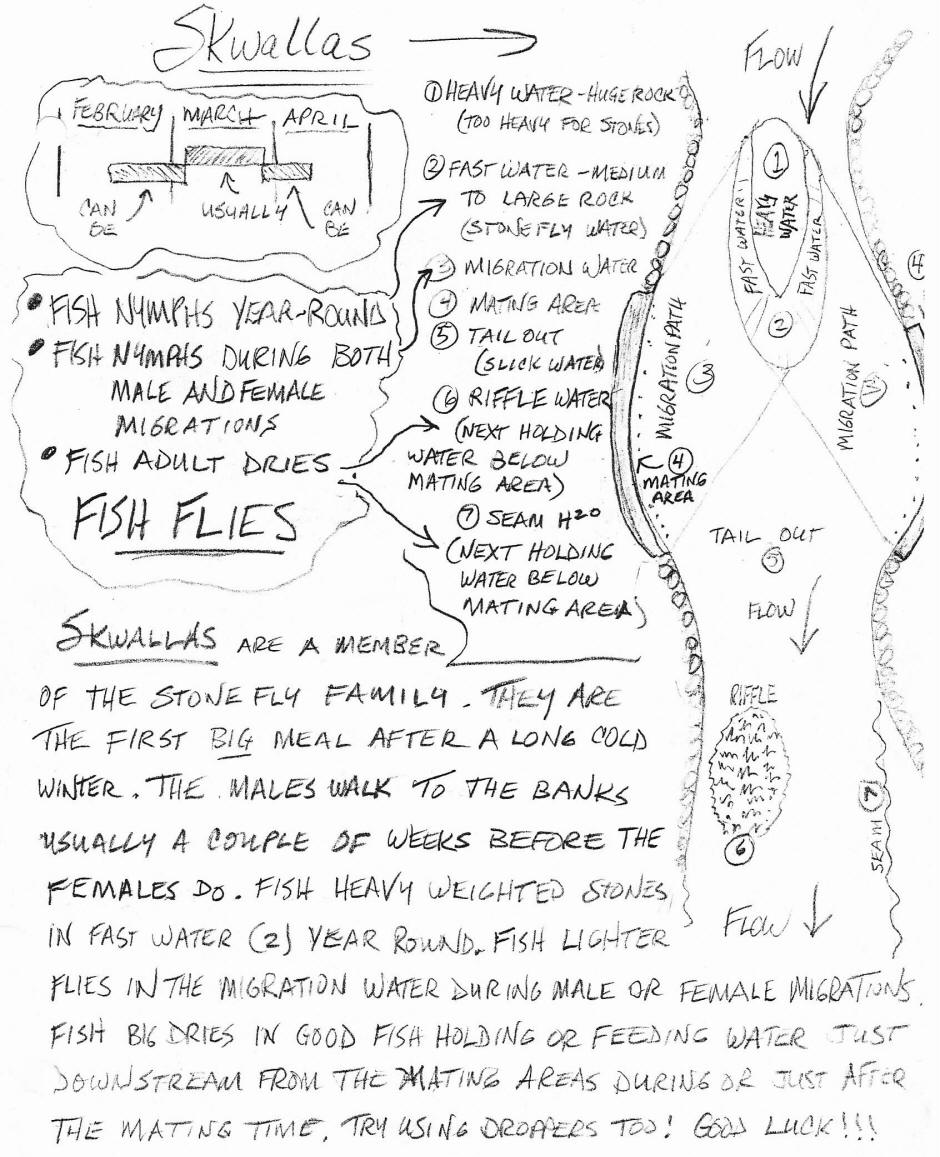 Timbo Irish Skwalla Stonefly Migration