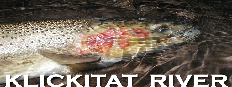 Klickitat River Steelhead Fly Fishing