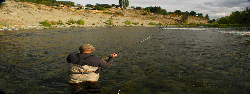 Wenatchee River Wild Steelhead