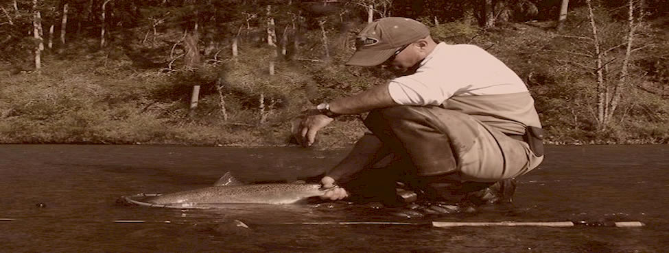 Klickitat River Wild Steelhead